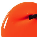 BEBIO MATCHING - 13 CAJUN