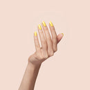 BEBIO MATCHING - 20 HONEY BEE