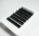 Lash - Velcro Lash Holder Plate