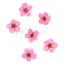 Cre8tion - Nail Art Teal Collection