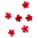 Cre8tion - Nail Art Teal Collection