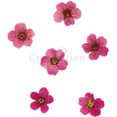 Cre8tion - Nail Art Teal Collection