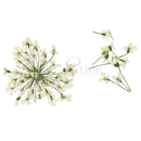 Cre8tion - Nail Art Teal Collection