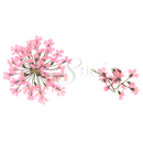 Cre8tion - Nail Art Teal Collection