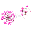 Cre8tion - Nail Art Teal Collection