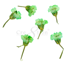 Cre8tion - Nail Art Teal Collection