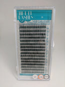 Hi-Def Lashes - 2D