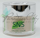 SNS Dip Powder - N12