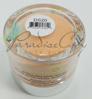 SNS Dip Powder - DS20