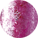 Vetro - VL273 Lollipop Leaf*** Vetro No. 19 Gel Pods Leaf Collection