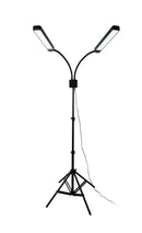 LED Beauty Light (Eyelash Extensions, Makeup Applications, Hair, Tattoo, Etc.)