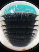 Hi-Def Lashes - EZ Volume Fan Luxury Mink $19.99