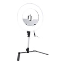 Impressions 13.5-Inch Desktop Dimmable LED Vanity Studio Ring Light w/ Stand, Bag, & Accessories